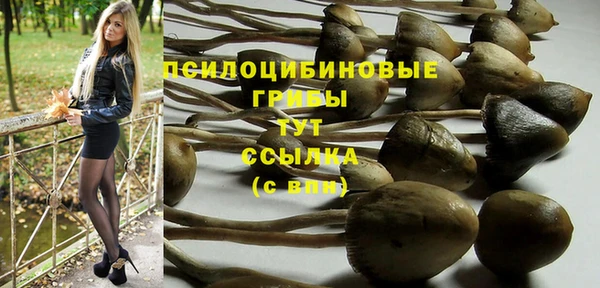 метадон Аркадак